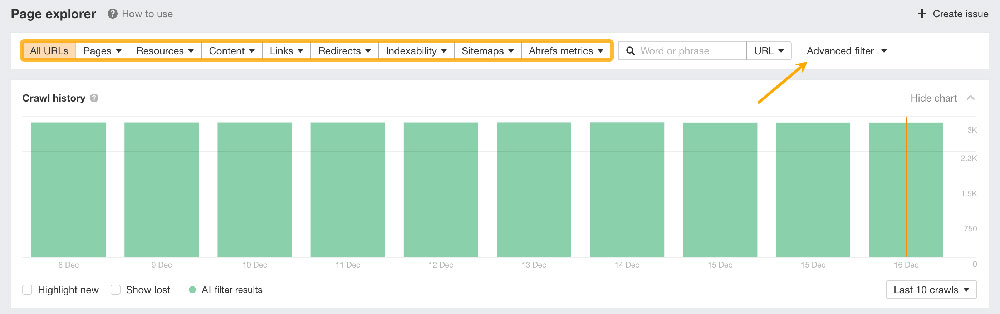 page explorer advanced filters